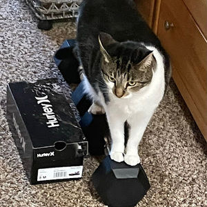 Meet your Posher, Grace